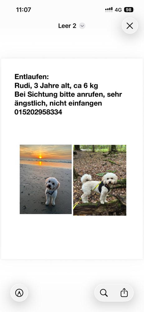 Suchmeldung-Rudi-Profilbild