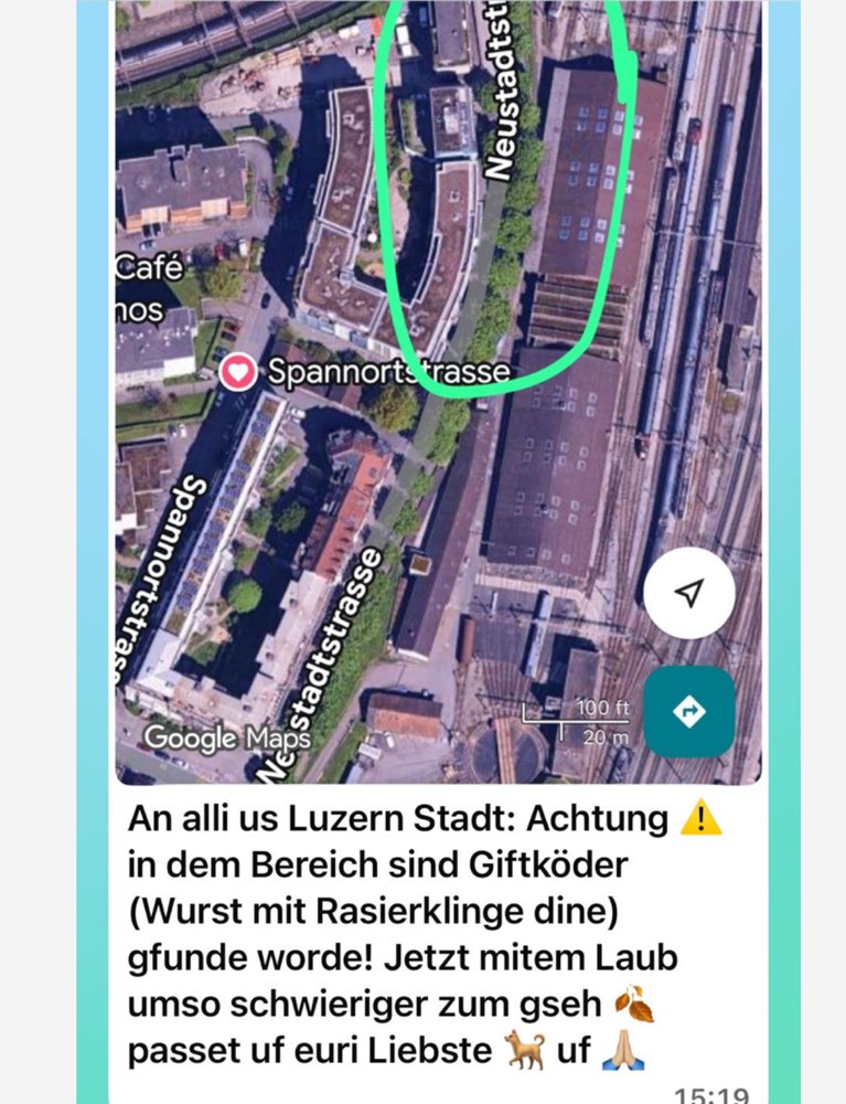 Giftköder-Giftköder unter dem Laub-Profilbild