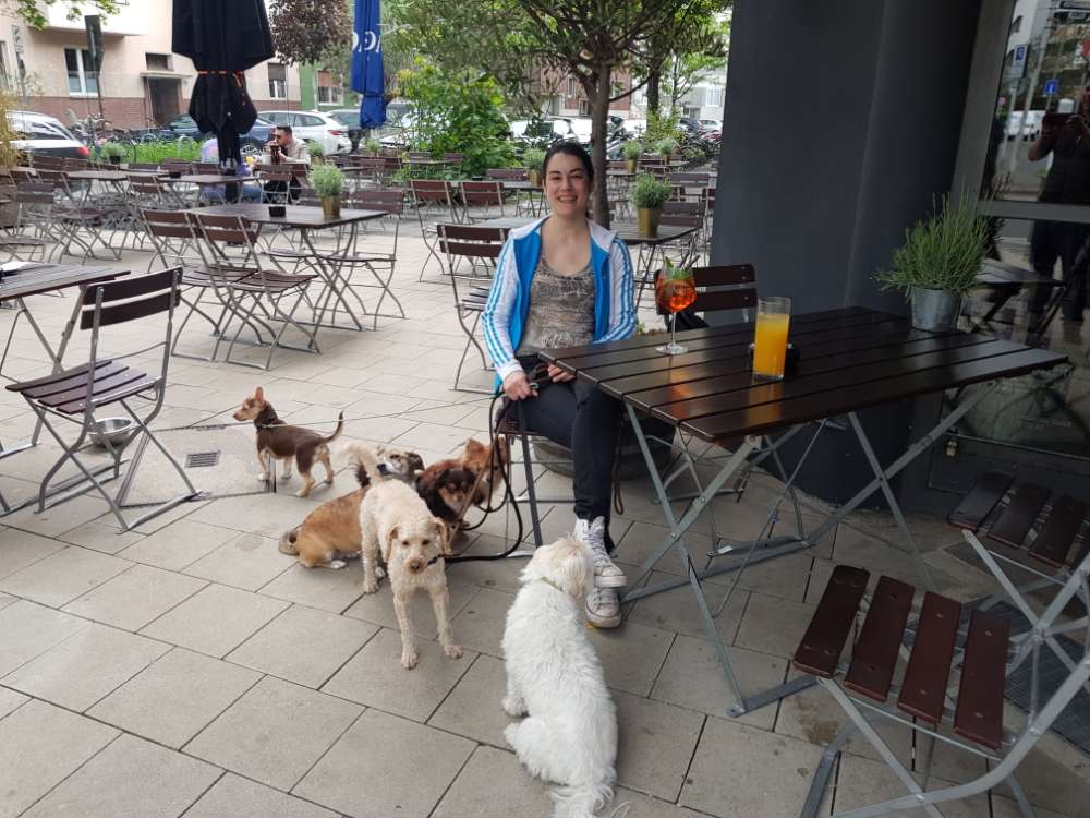 Hundetreffen-Kunterbunte kleine Hunde Runde-Profilbild