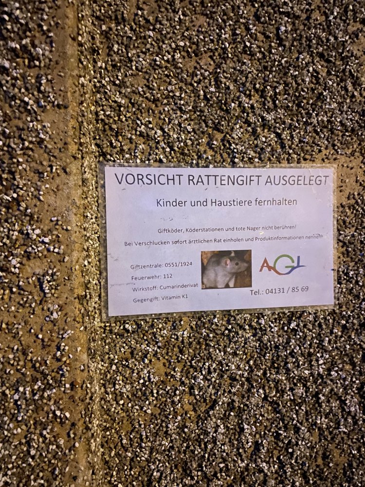 Giftköder-Rattengift-Profilbild