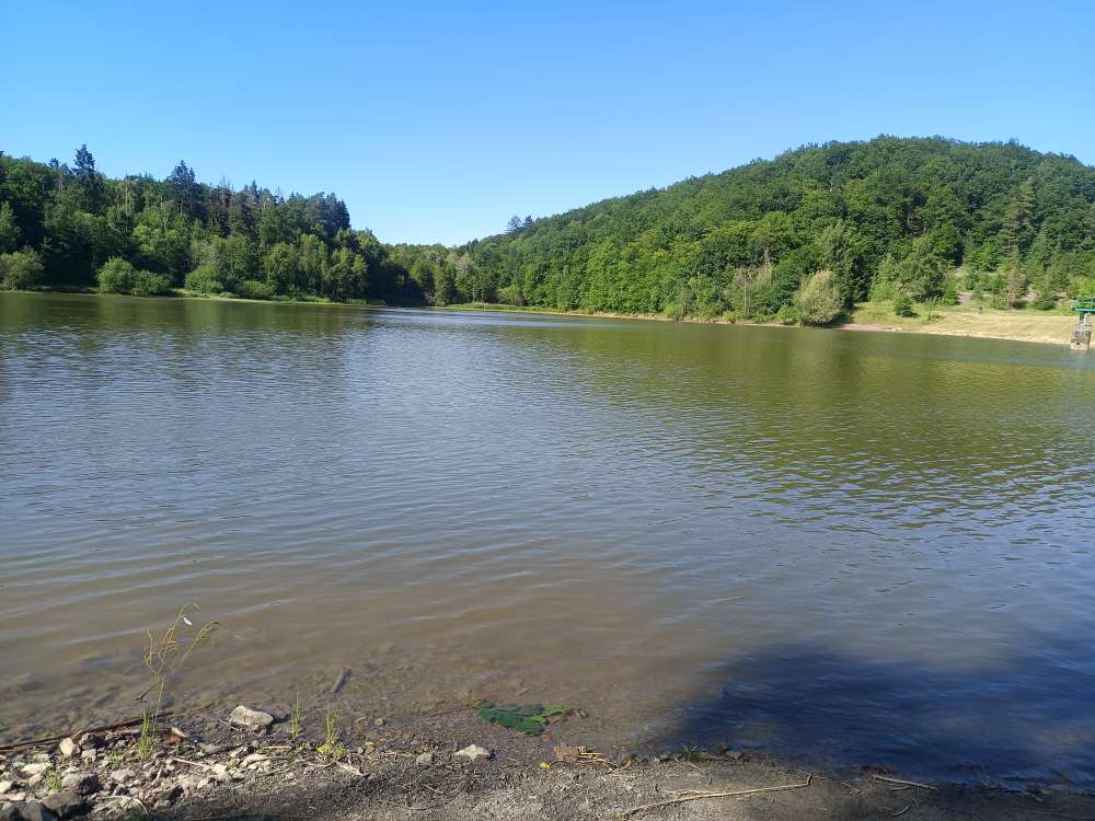 Hundetreffen-Hunderunde-Profilbild