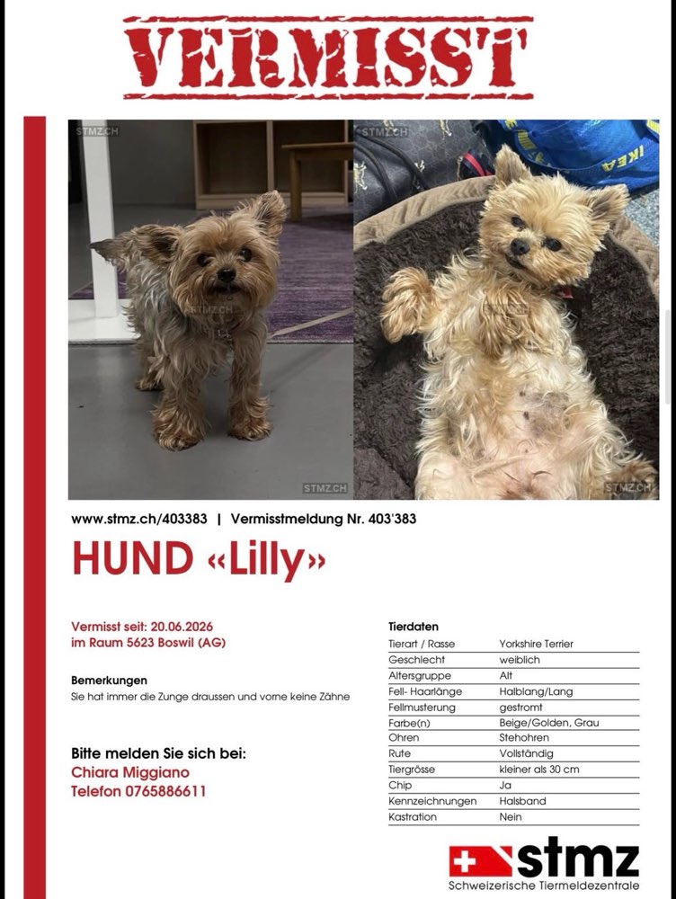 Suchmeldung-Lilly-Profilbild