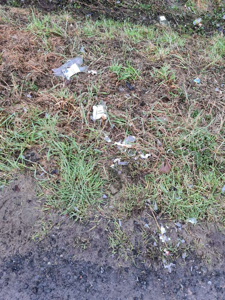 Giftköder-Scherben auf dem Grünstreifen-Profilbild