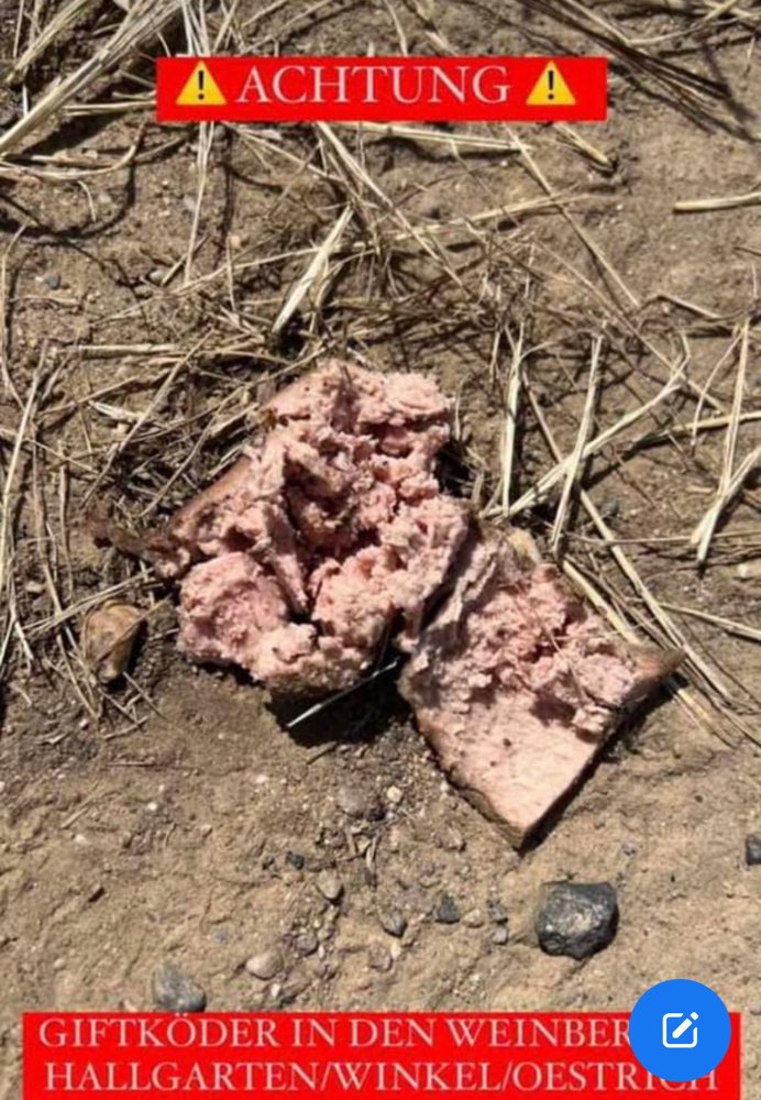 Giftköder-Giftköder-Profilbild