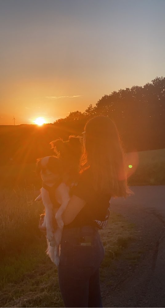 Hundetreffen-Hundebetreuung/ Hundesitting-Profilbild