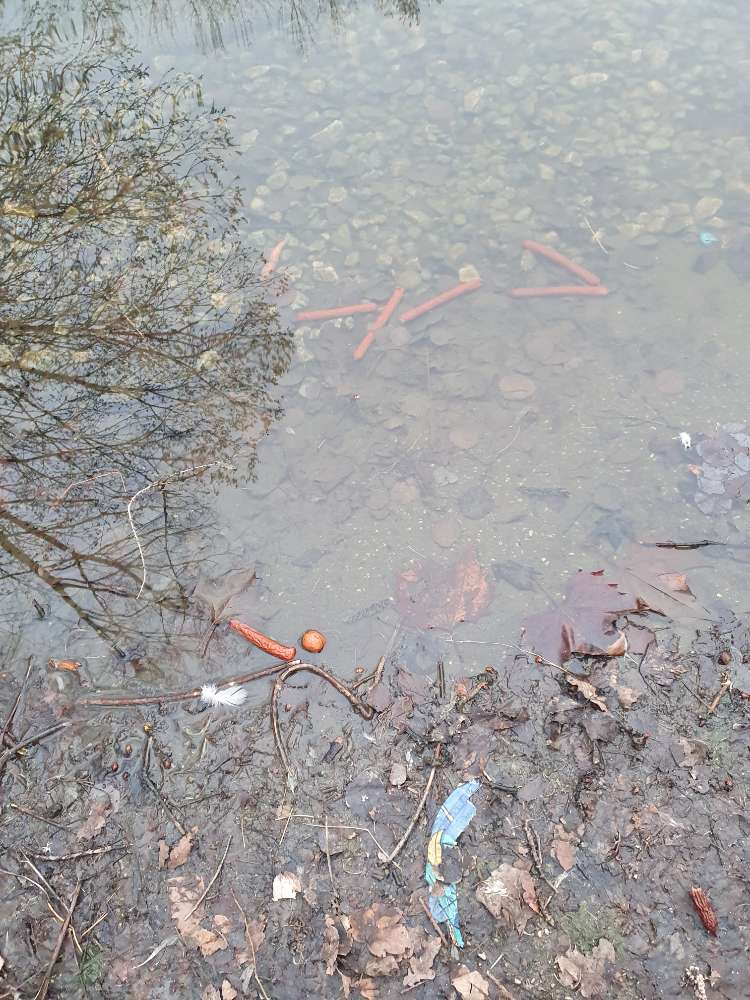 Giftköder-Würstchen-Profilbild