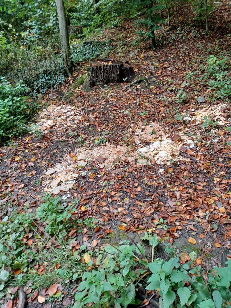 Giftköder-Essenreste-Profilbild