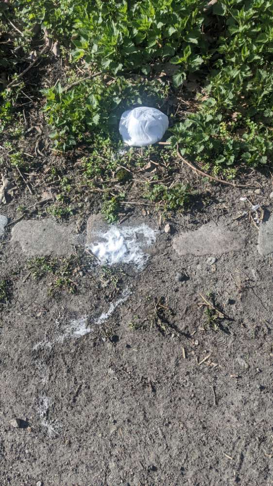 Giftköder-Weißes Pulver-Profilbild