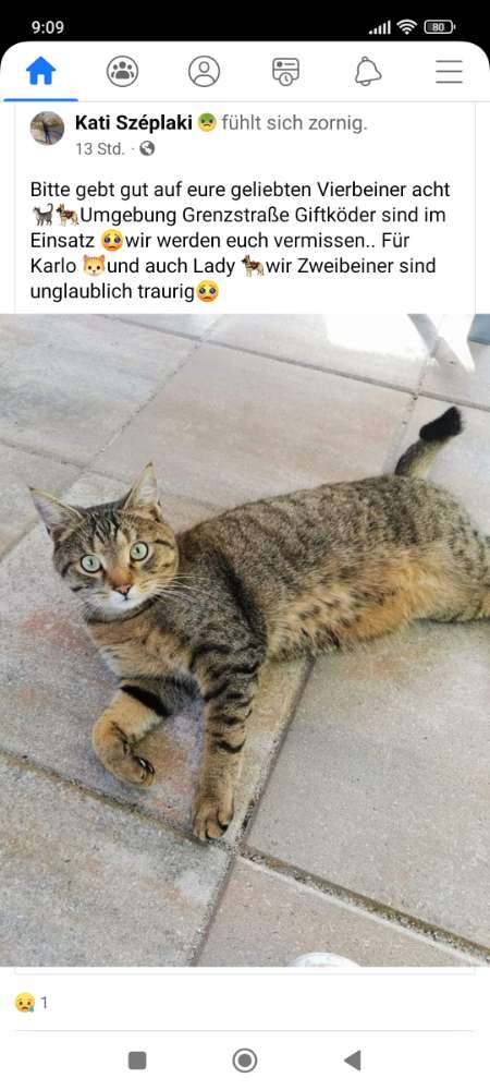 Giftköder-Giftköder in der Umgebung-Profilbild