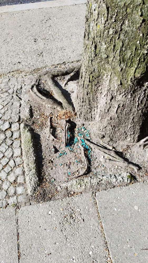 Giftköder-Blaukorn/Rattengift-Profilbild