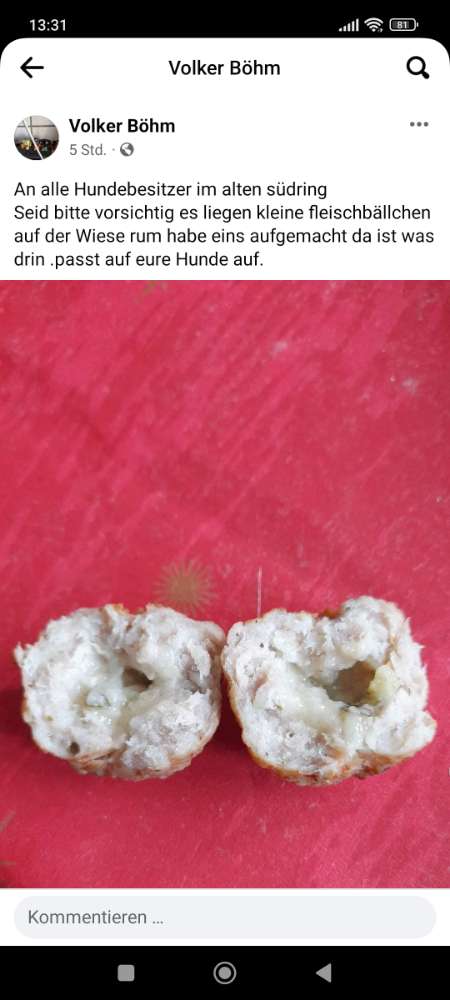 Giftköder-Fleischbällchen Giftköder-Profilbild