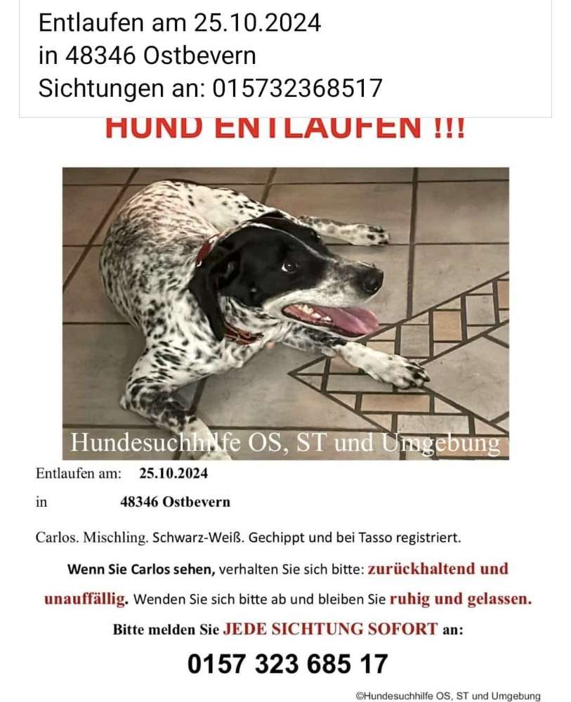 Suchmeldung-Carlos-Profilbild