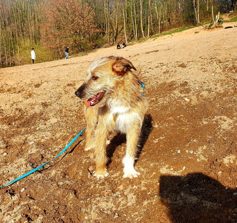 Suchmeldung-Nikki-Profilbild