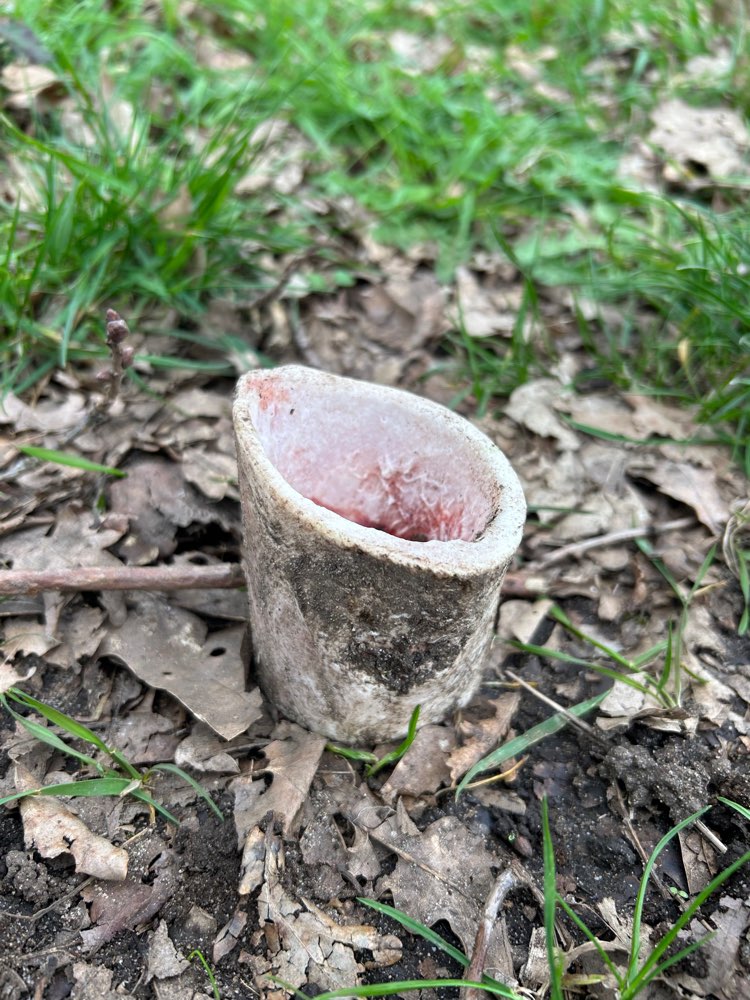 Giftköder-Gefüllter Knochen! Evtl. Giftköder!-Profilbild