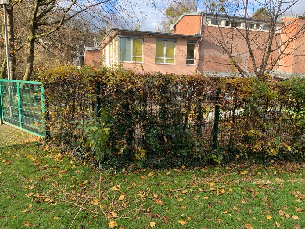 Giftköder-Essensreste mit Fleisch und Knochen-Profilbild