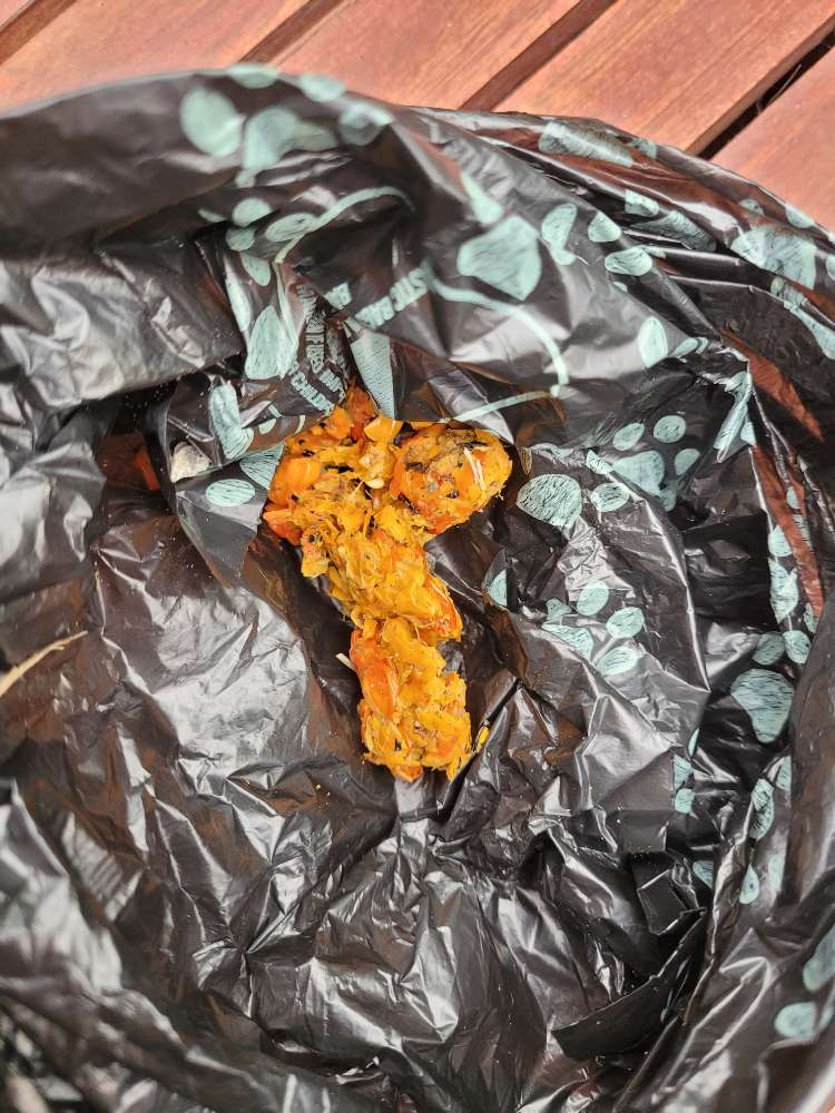 Giftköder-Möglicher Giftköder-Profilbild