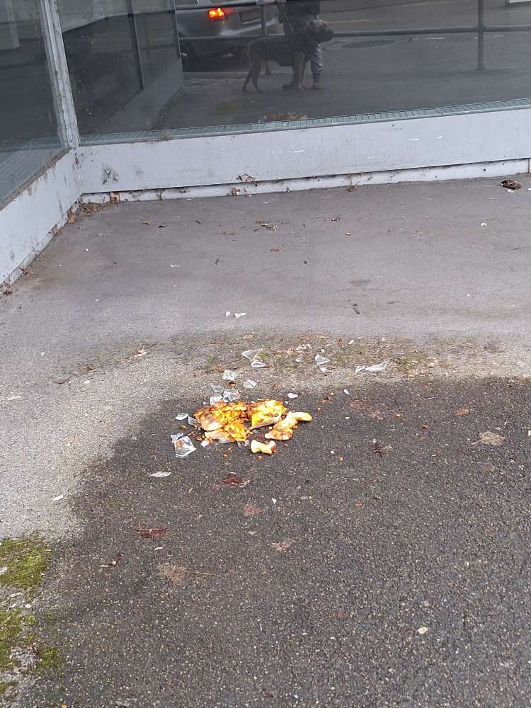 Giftköder-Scherben in einer Pizza-Profilbild