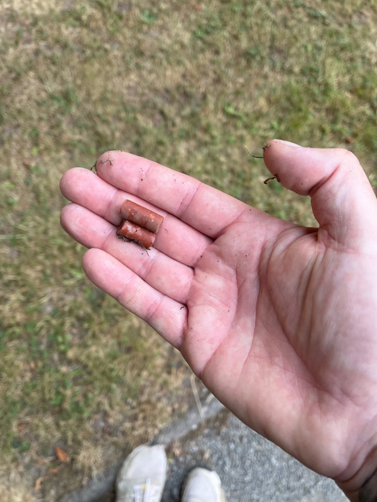 Giftköder-Giftköder-Profilbild