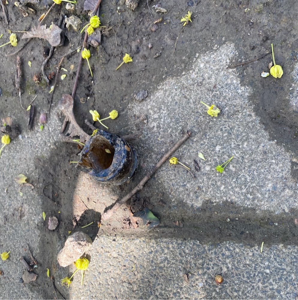 Giftköder-Glasscherbe mit Leberwurst-Profilbild