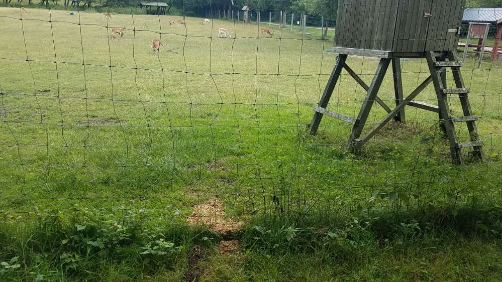 Giftköder-Unbekannte Futtermischung-Profilbild