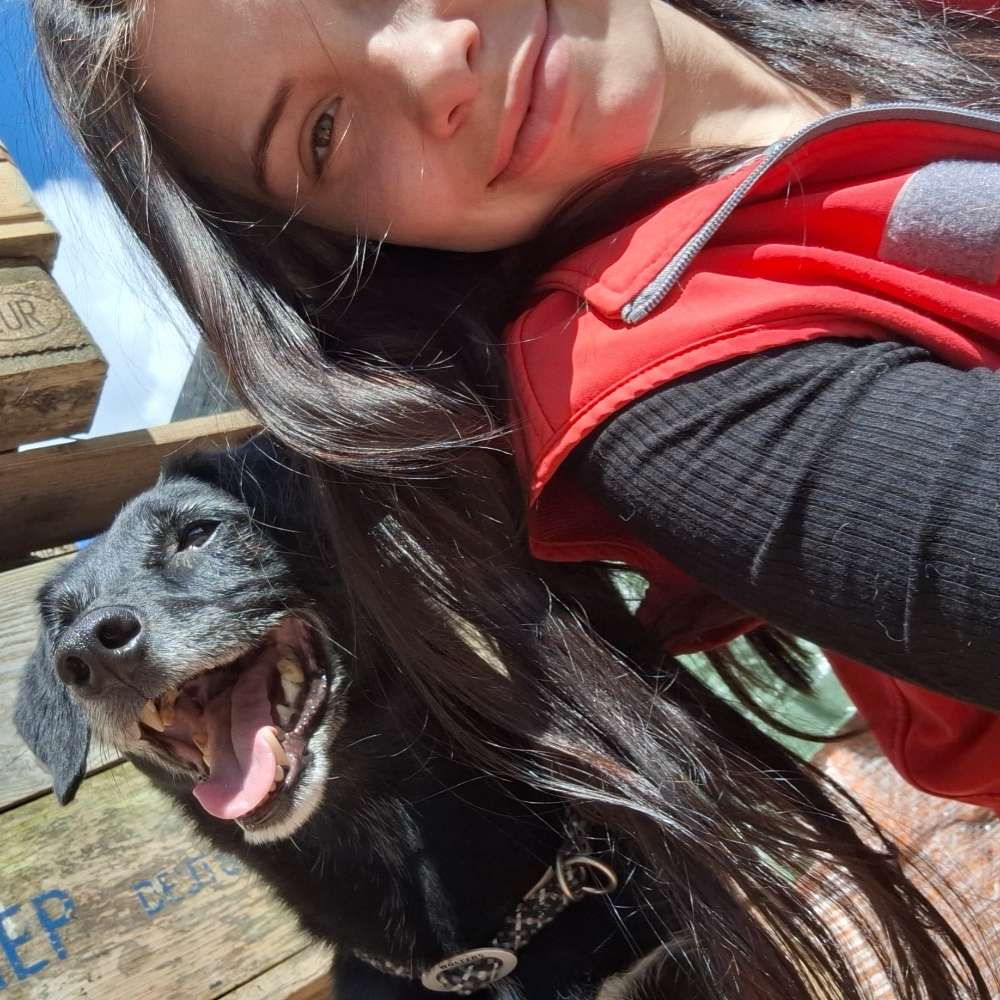 Hundetreffen-Spielkamerad für Balu-Profilbild