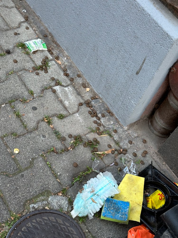 Giftköder-Hundefutter zwischen Sperrmüll-Profilbild