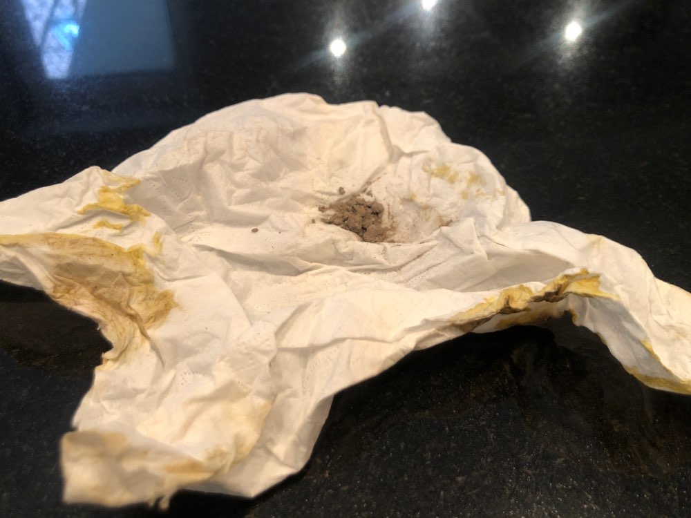 Giftköder-Möglicher Giftköder!-Profilbild