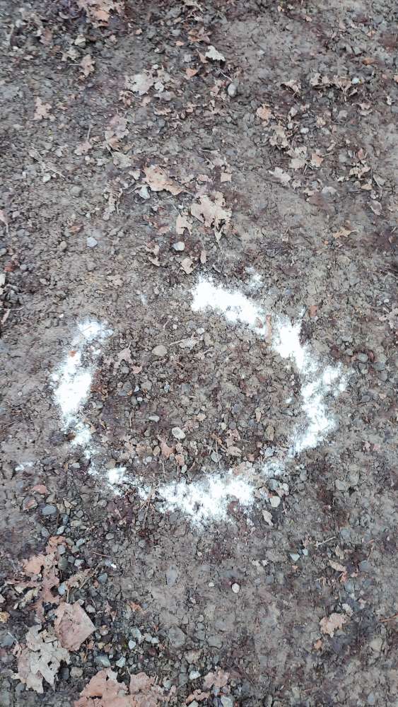 Giftköder-Wahrscheinlich Giftköder?!-Profilbild