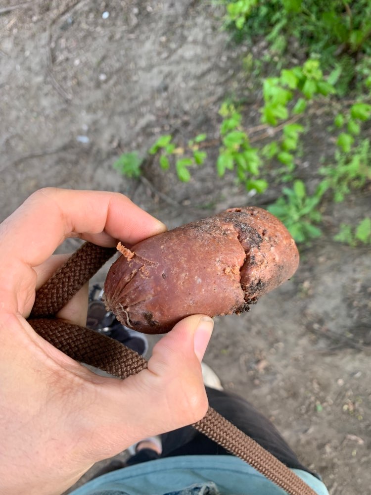 Giftköder-Möglicher Giftköder Tempelhofer Feld-Profilbild