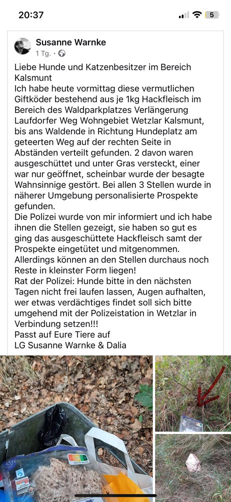 Giftköder-Mögliche Giftköder am Karlsmunt-Profilbild