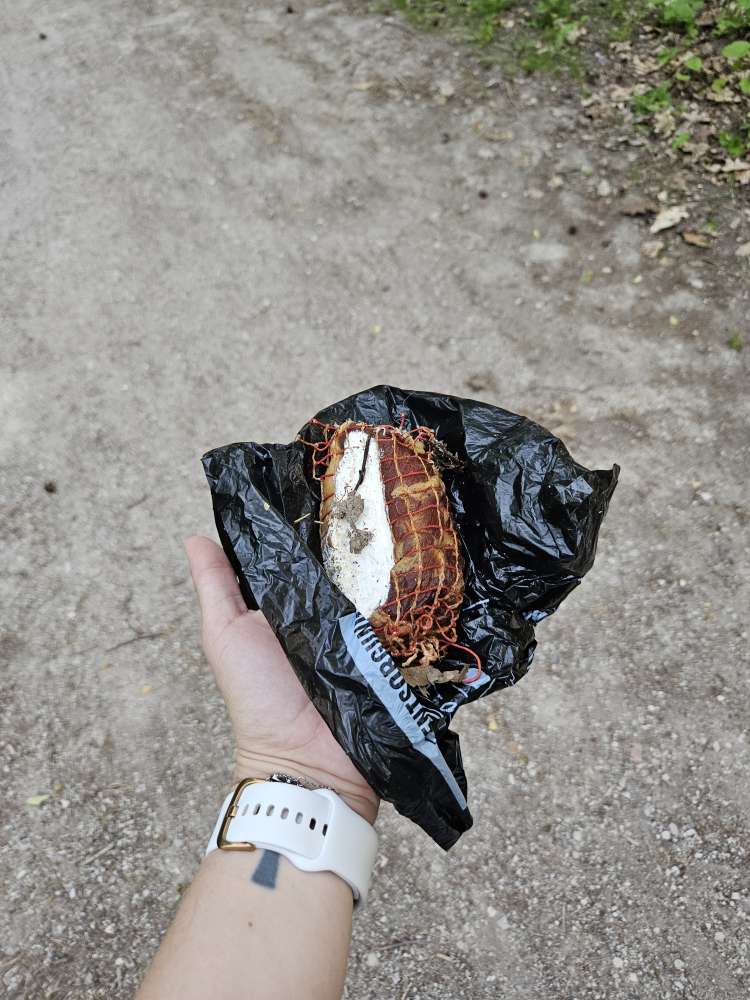 Giftköder-Vermeintliche Giftköder am Waldrand-Profilbild
