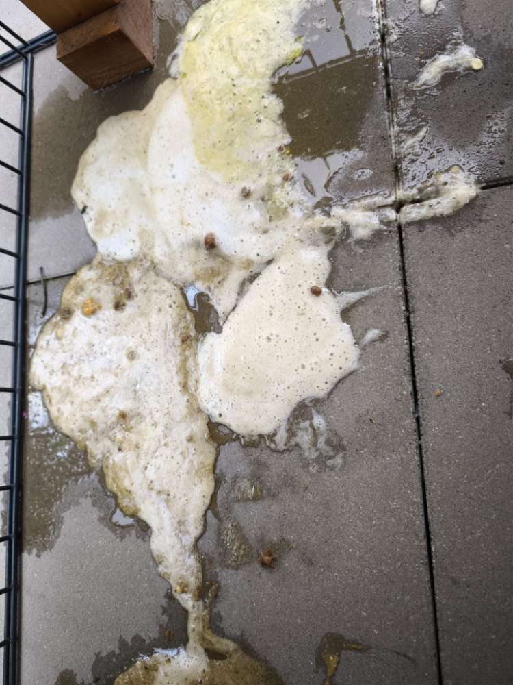 Giftköder-Pestizide-Profilbild