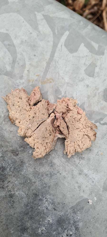 Giftköder-Fleischstücke auf der Wiese am Friedhof-Profilbild