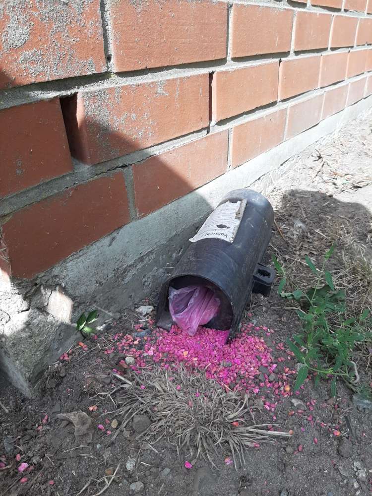 Giftköder-Rattengift beim Vereinsheim am Hohweg-Profilbild