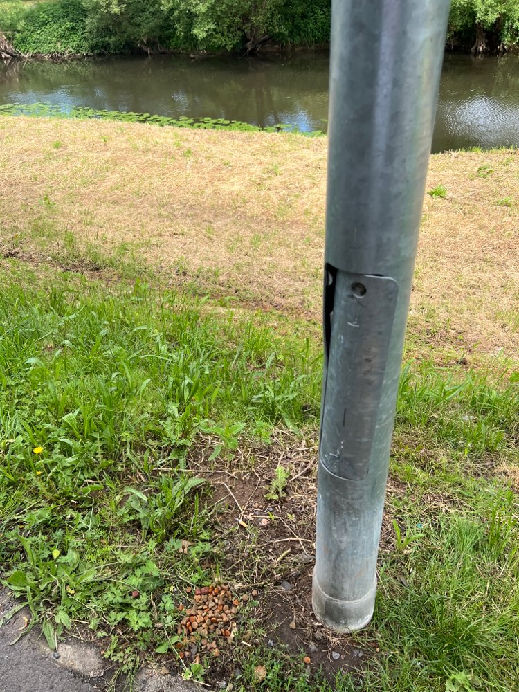 Giftköder-Verteiltes Hundefutter-Profilbild