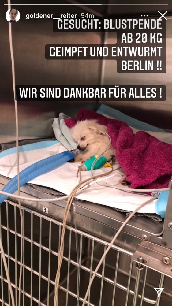 Giftköder-Unbekanntes Gift!-Profilbild