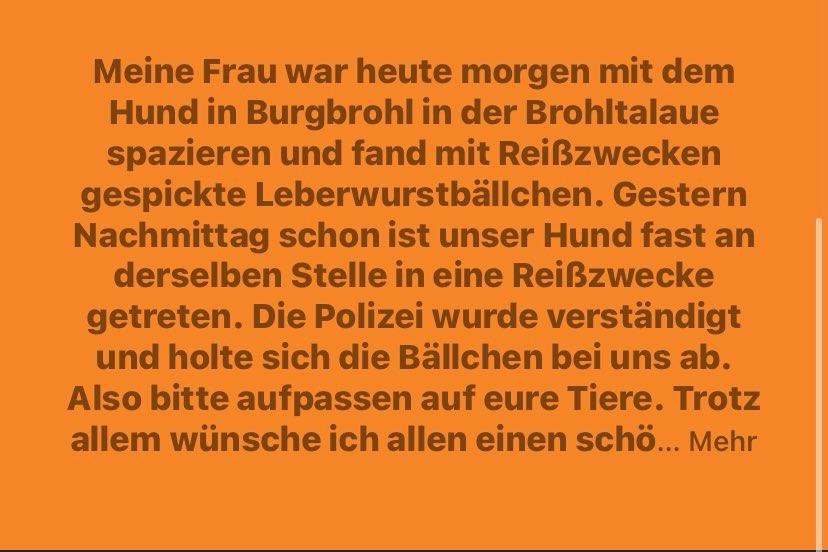 Giftköder-Giftköder-Profilbild