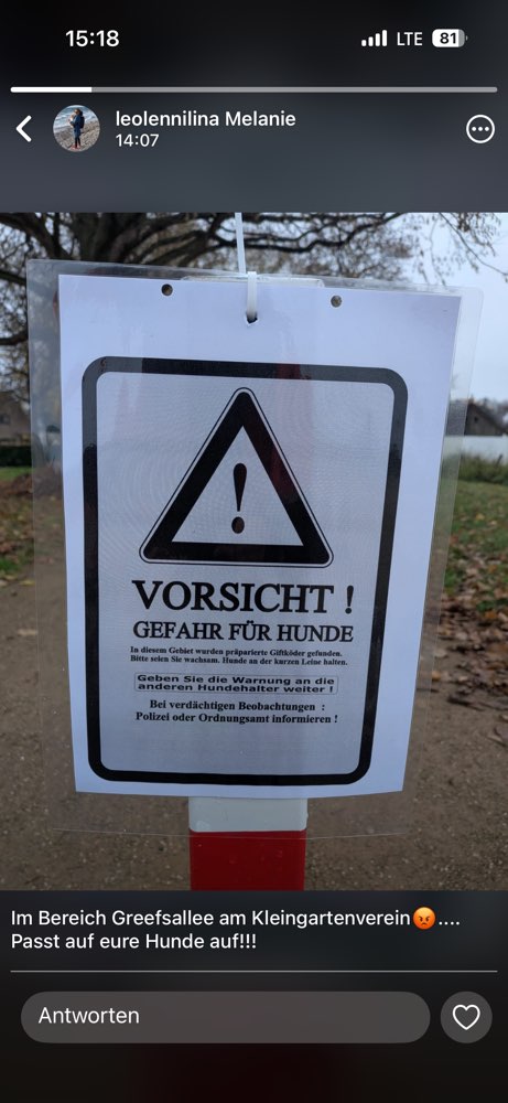 Giftköder-Giftköder-Profilbild