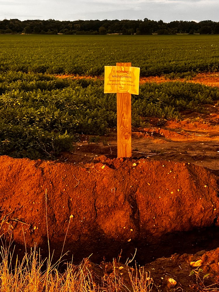 Giftköder-Mäusegift Friesheim-Profilbild