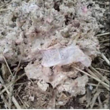 Giftköder-Rattengift im Feld-Profilbild