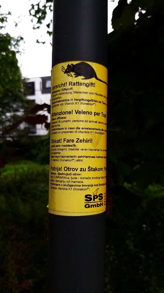 Giftköder-RATTENGIFT-Profilbild