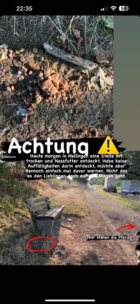 Giftköder-Hundefutter / Evtl. Giftköder-Profilbild