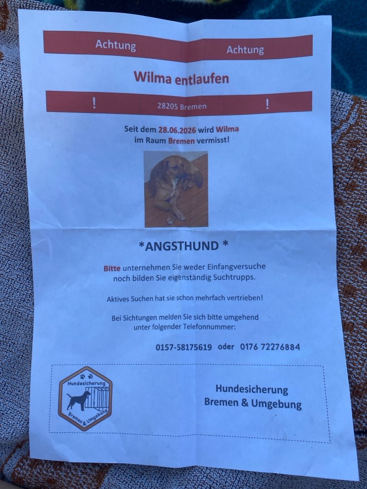 Suchmeldung-Wilma-Profilbild