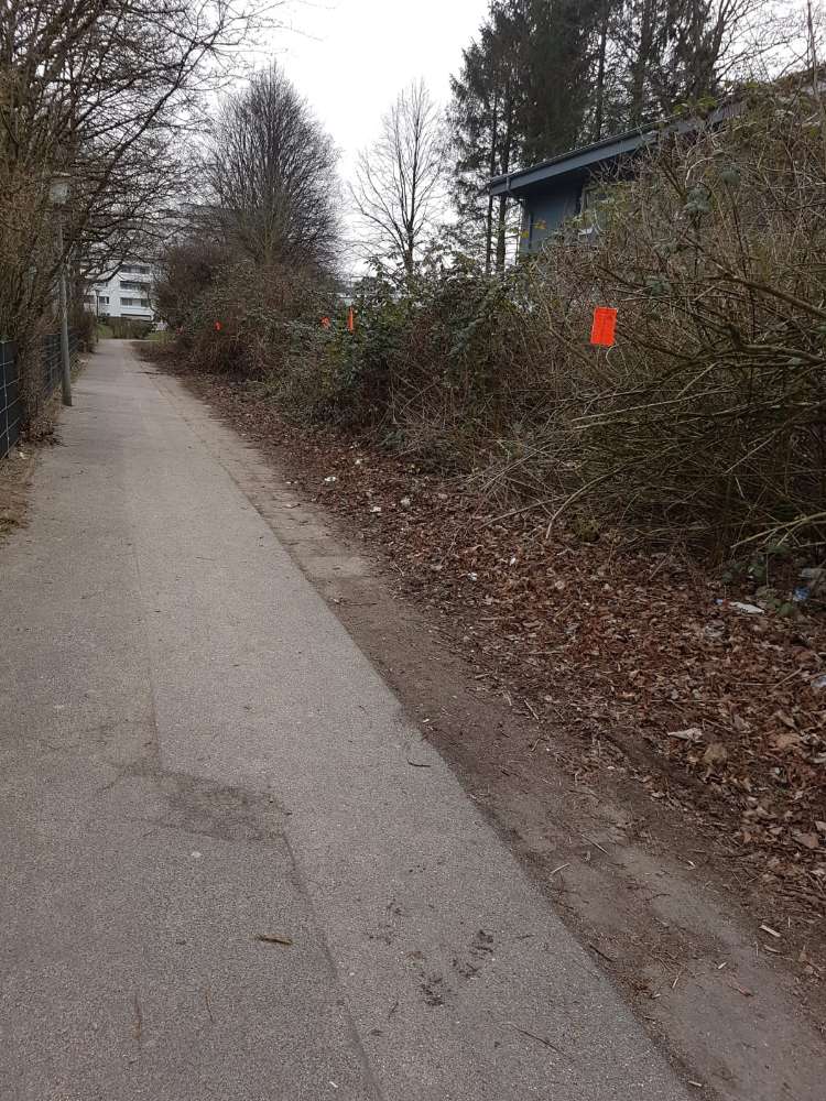 Giftköder-Rattengift-Profilbild