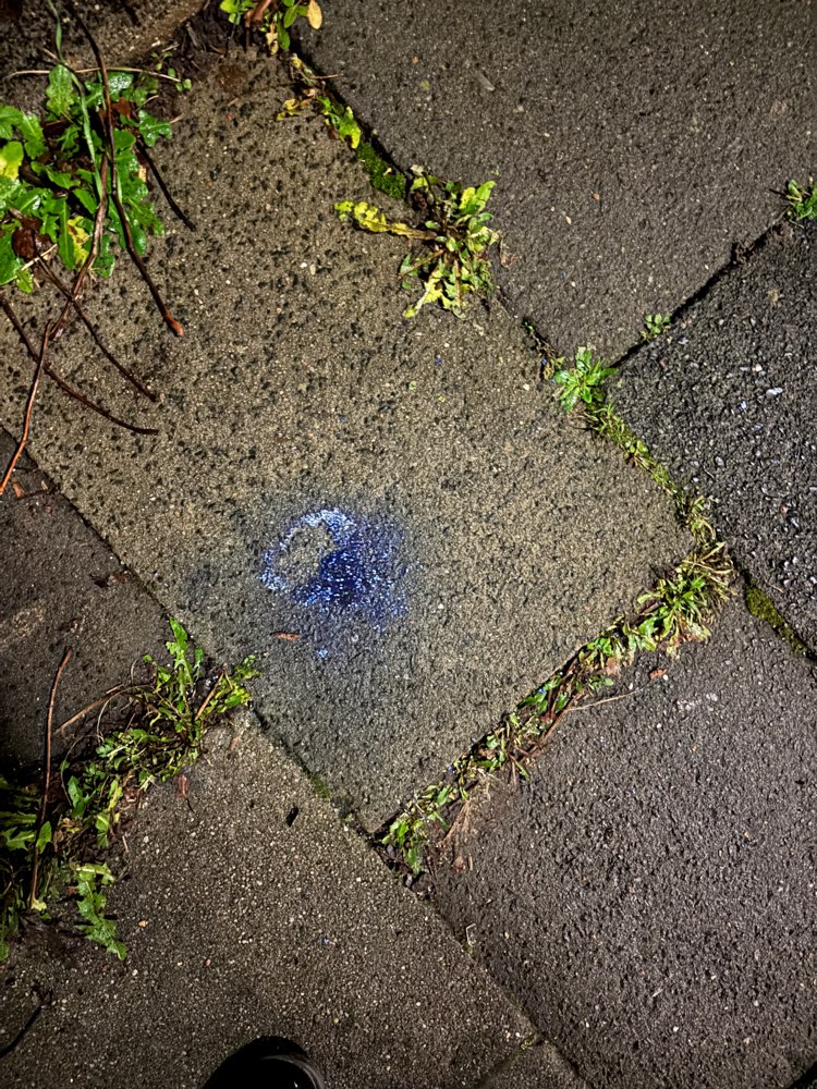 Giftköder-Wieder Blaukorn-Profilbild