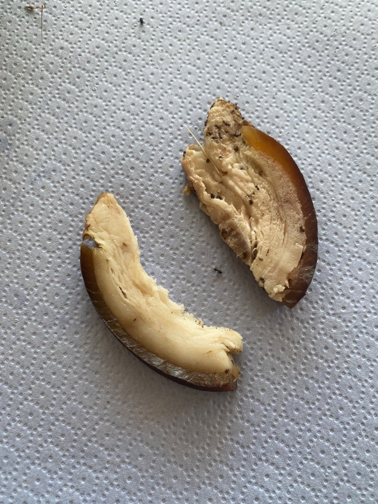 Giftköder-Fleischstücke, Verdacht auf Gift-Profilbild