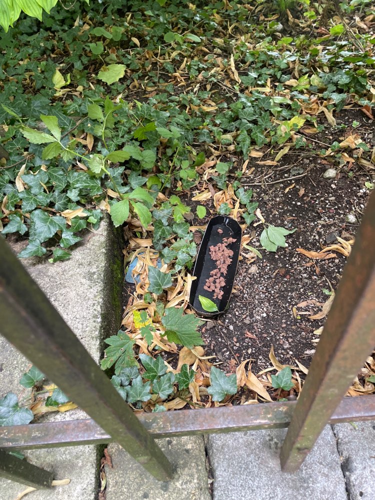 Giftköder-Mögliche Giftköder-Profilbild