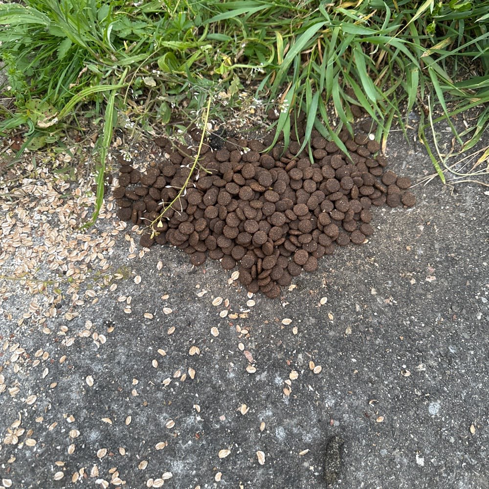 Giftköder-Hundefutter am Parkplatz-Profilbild