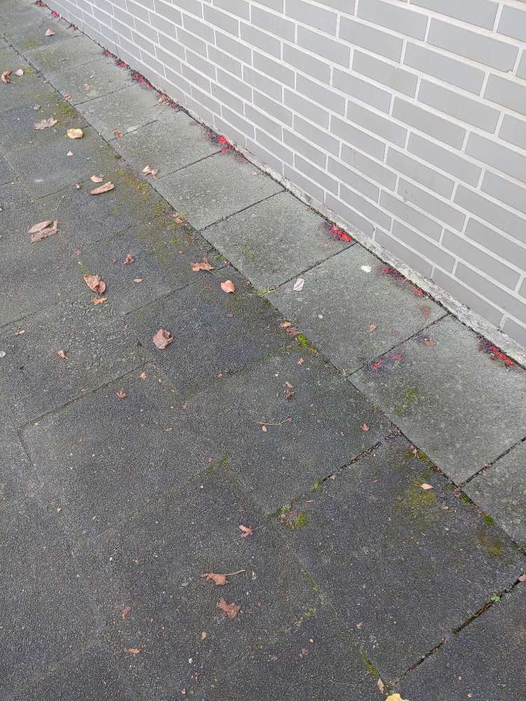 Giftköder-Kontaktgift-Profilbild