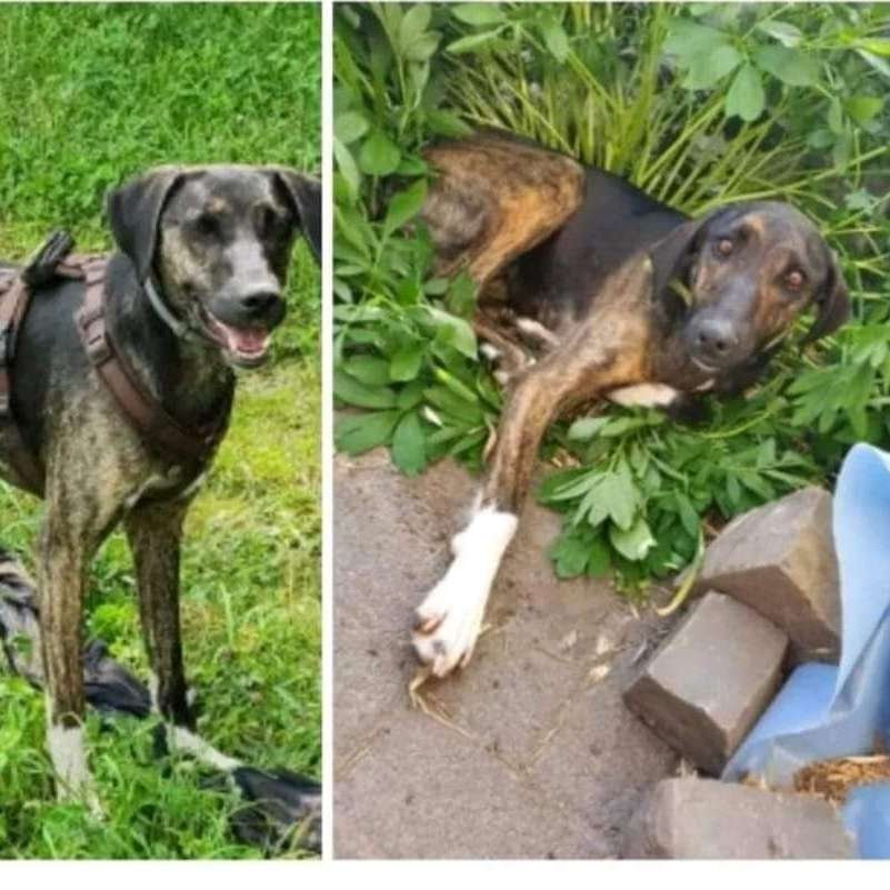 Suchmeldung-Leni-Profilbild